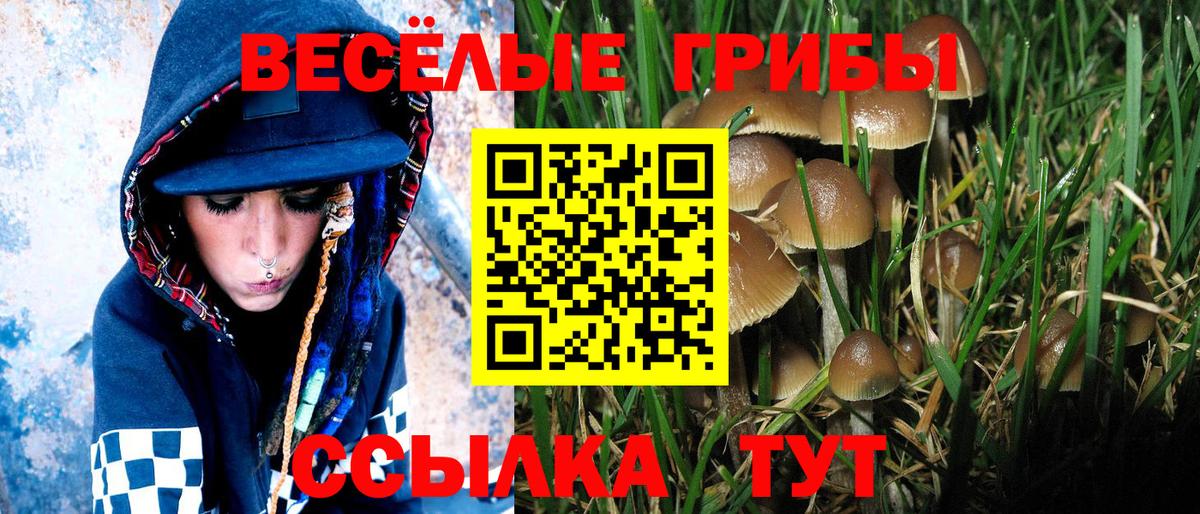 где купить   Псилоцибиновые грибы мухоморы  Вход с VPN  Гурьевск 