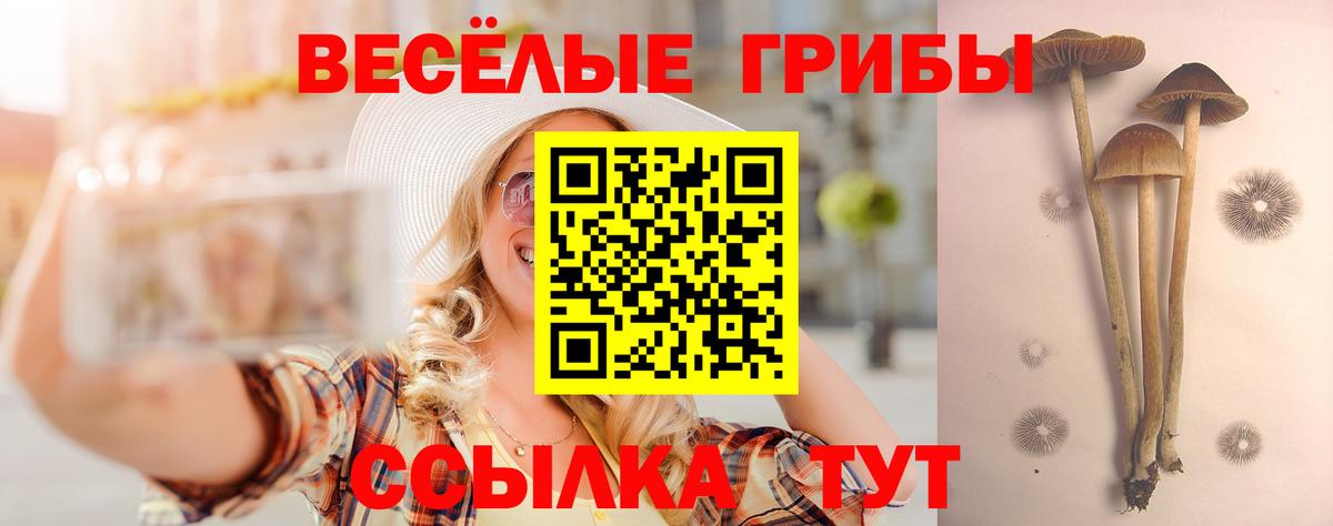 Псилоцибиновые грибы мухоморы Гурьевск